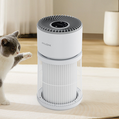kupować Certyfikat LVD Hepa Smoke Eater Air Purifier dla zapachu dymu PM2.5 produkcja online