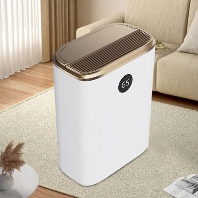 kupować Mini wilgotnik, odwilżacz, oczyszczacz powietrza 2 w 1 8L/dzień produkcja online